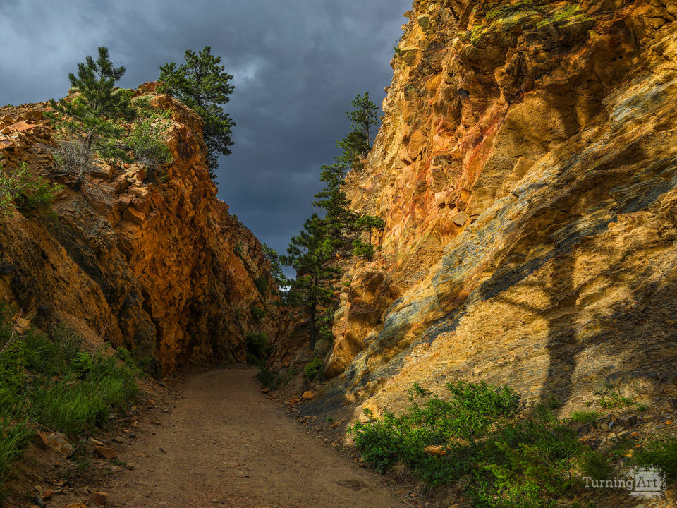 Walking Through Geological History