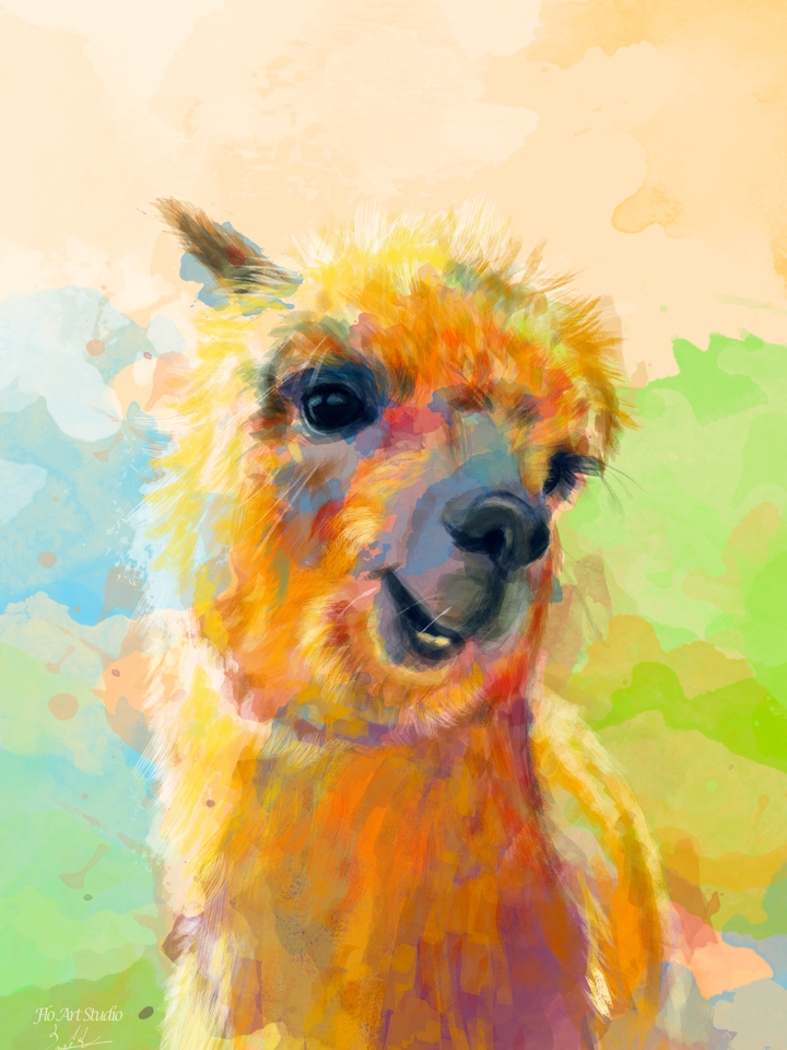 Happy Alpaca Portrait