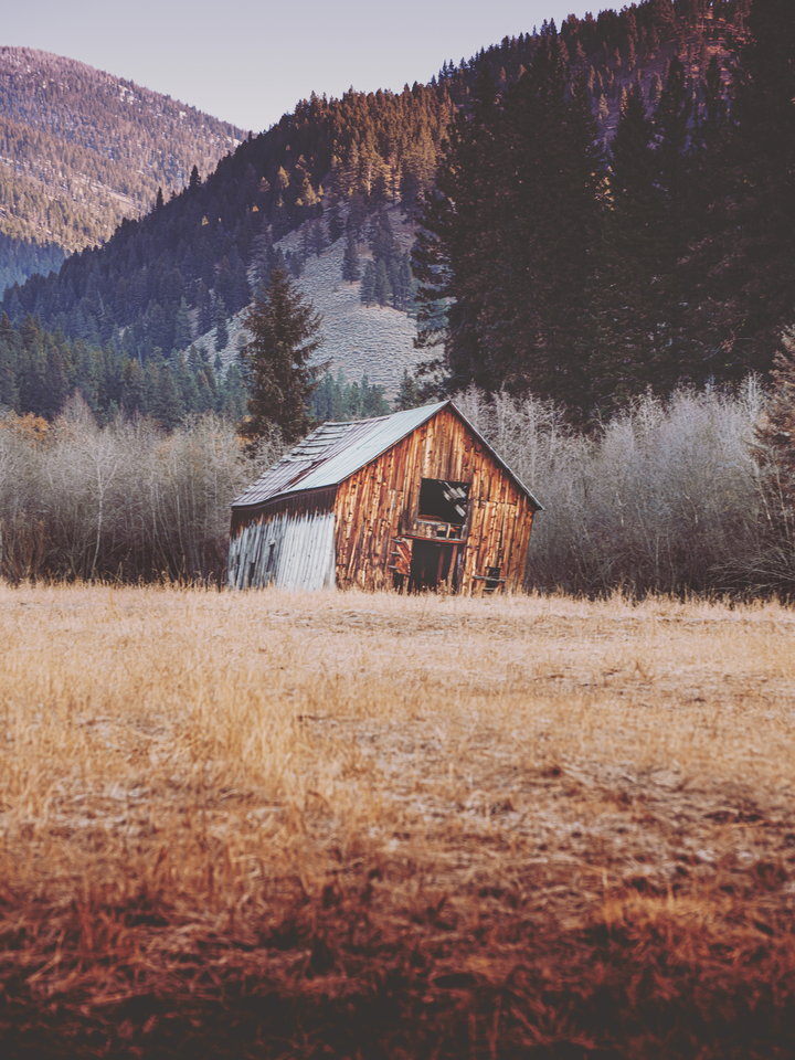 Folk Stories