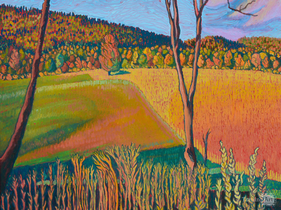 SPLIT FIELD AFTERNOON