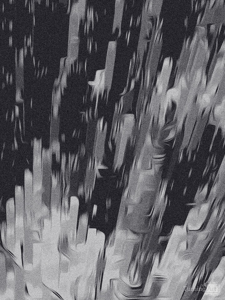 convergence reticulation - clipped 3