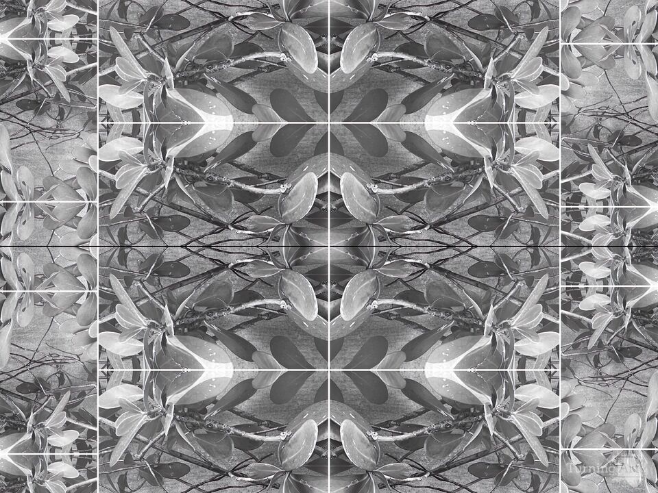 Autograph Tree Panel