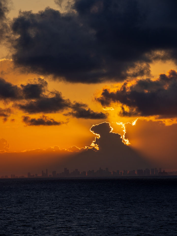 Miami Shine