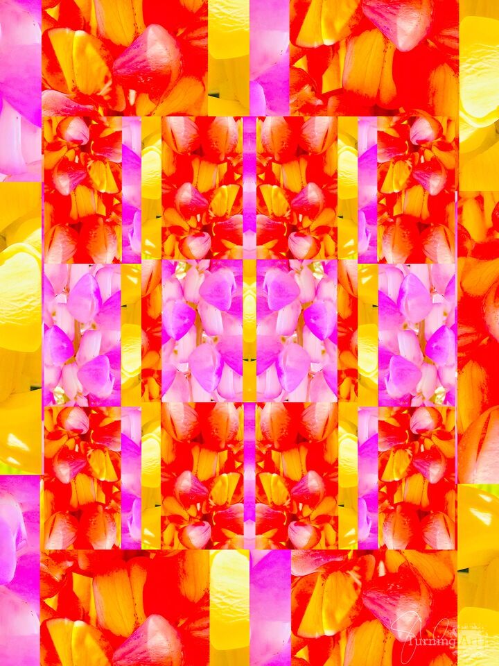 Tricolor Lupine Panel