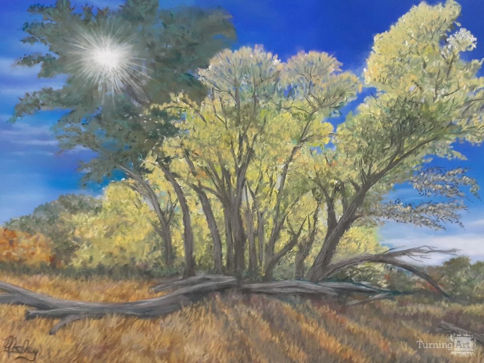 Watson Woods in October