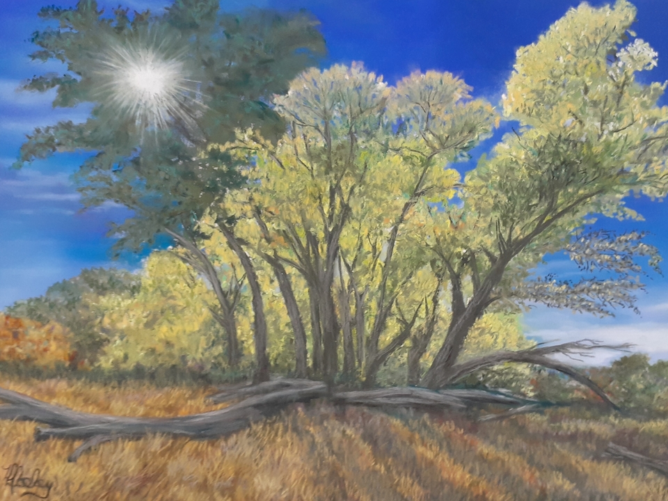 Watson Woods in October