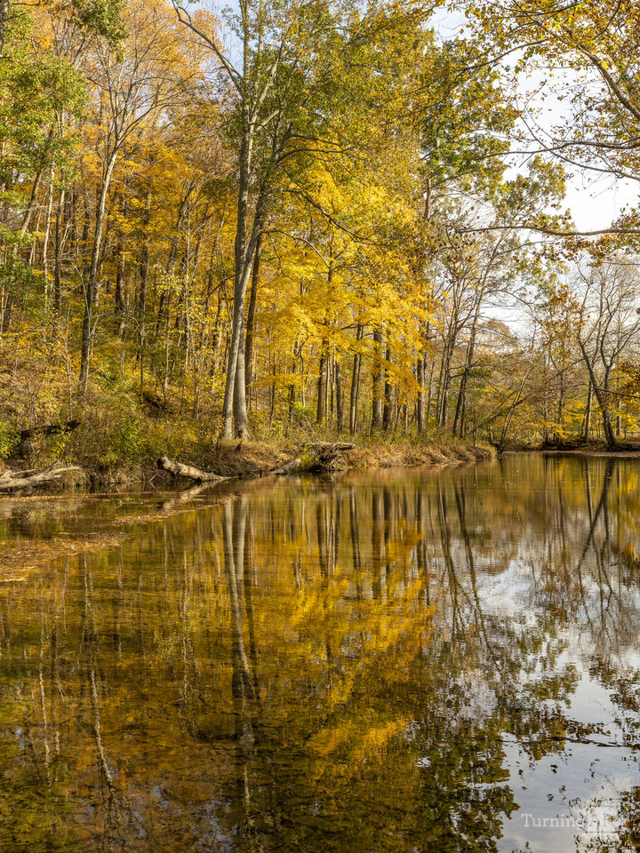 Autumn colors reflecting in creek
