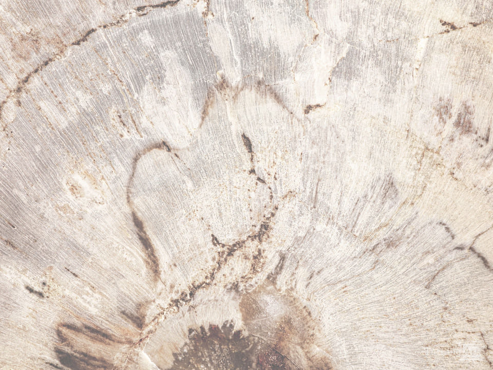 Another particle in the myriad of belonging I