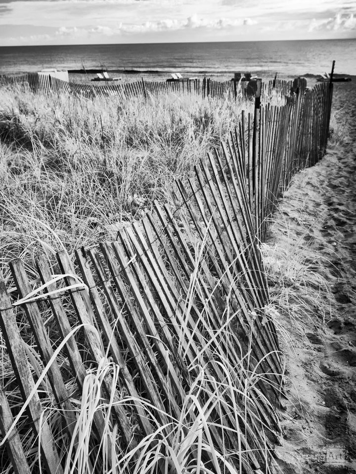 Fence By The Sea