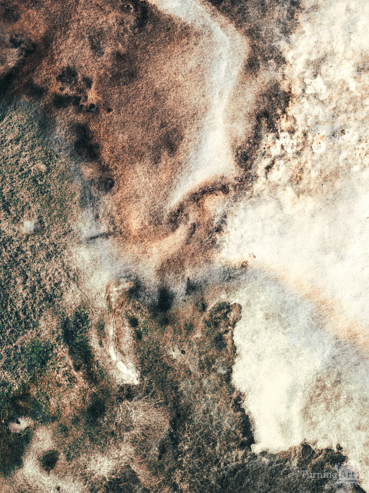 Autopoietic and oblivious_3