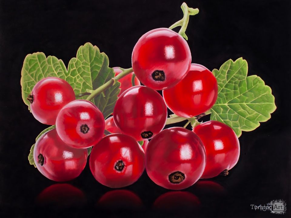 RIbes Rubrum