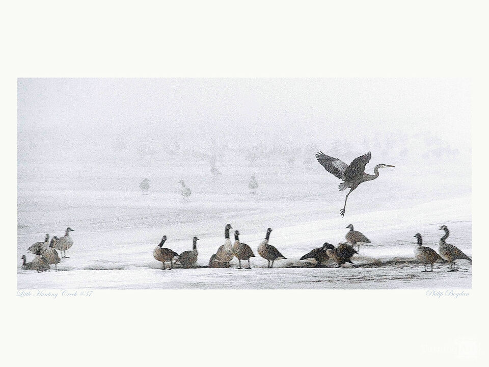 Little Hunting Creek #37