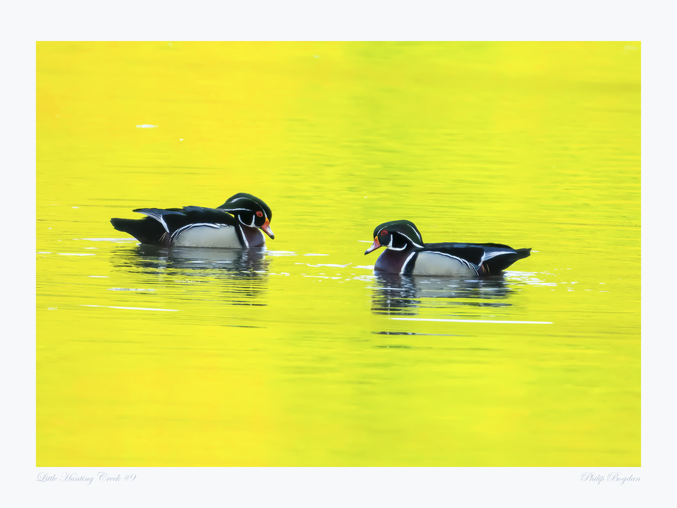 Little Hunting Creek #39