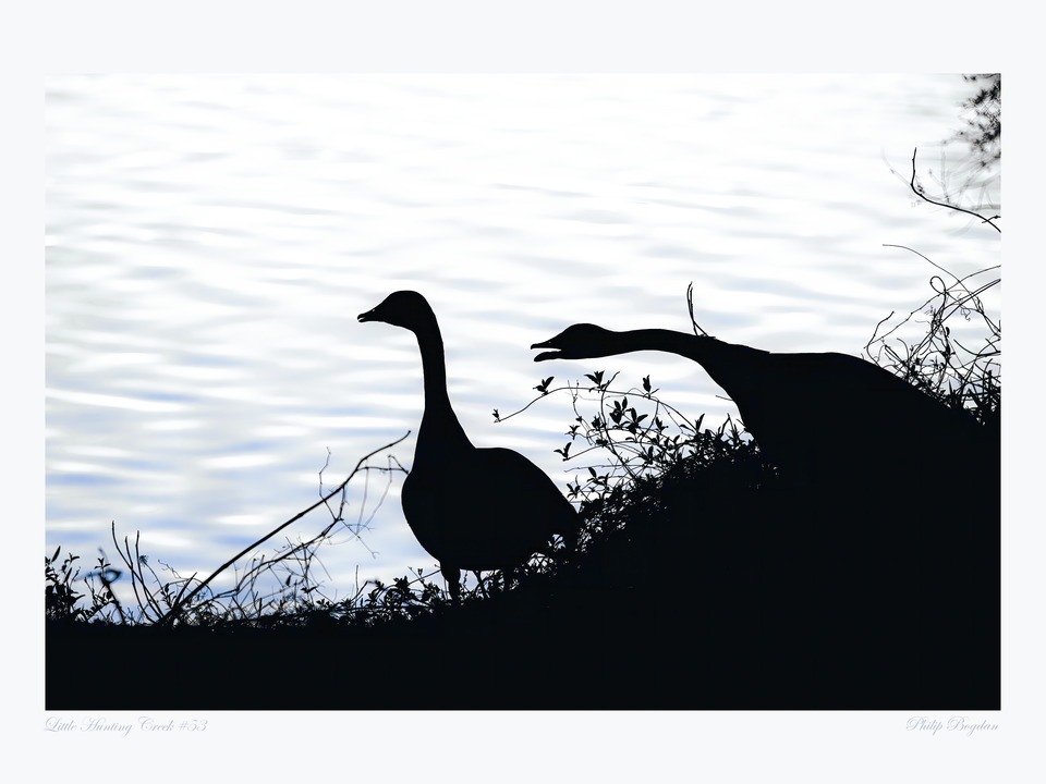 Little Hunting Creek #53