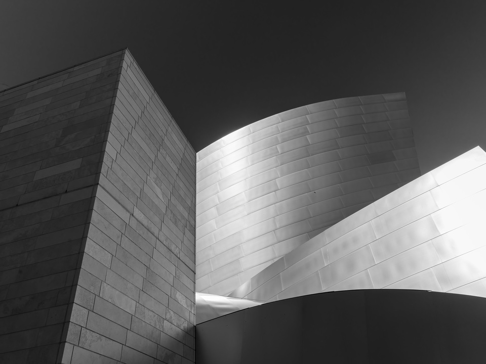 B&W Walt Disney Concert Hall, LA