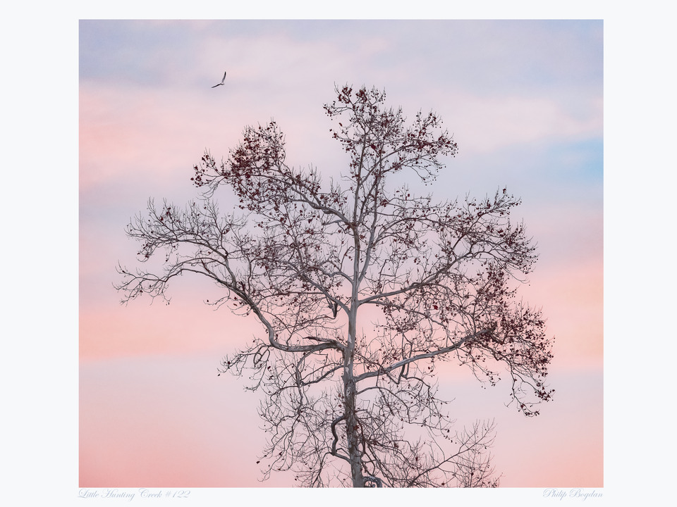 Little Hunting Creek #122