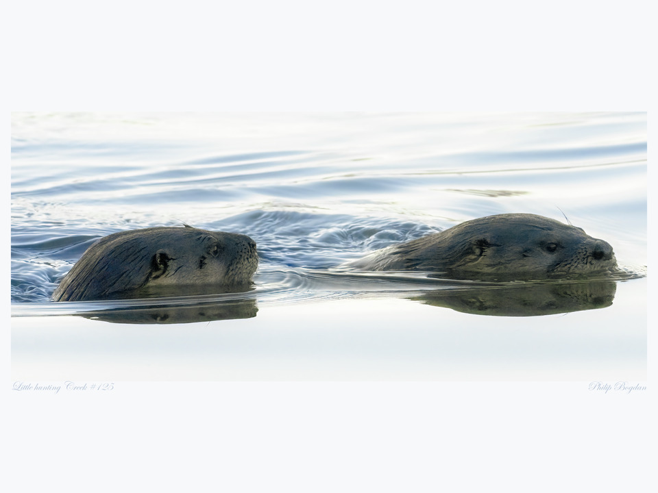 Little Hunting Creek #125