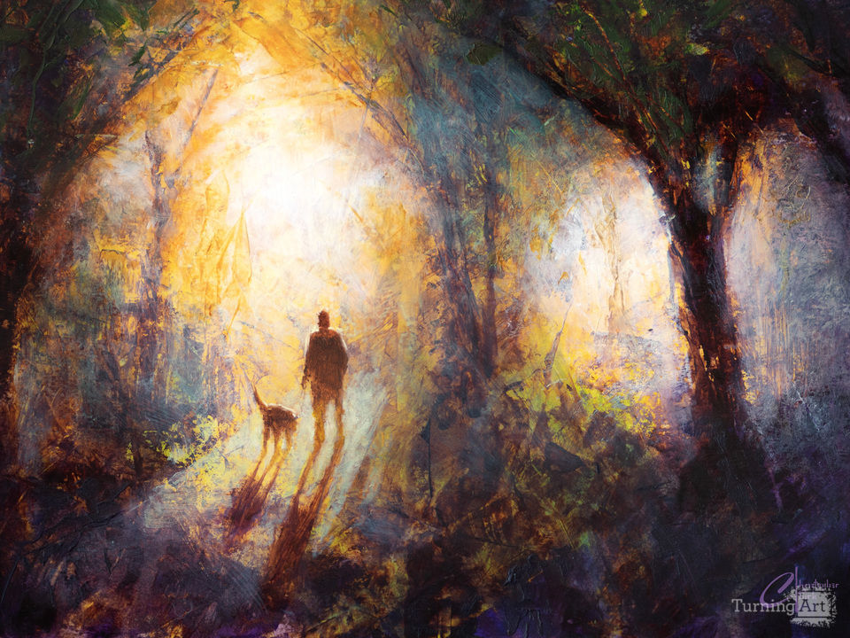 Dog Walking