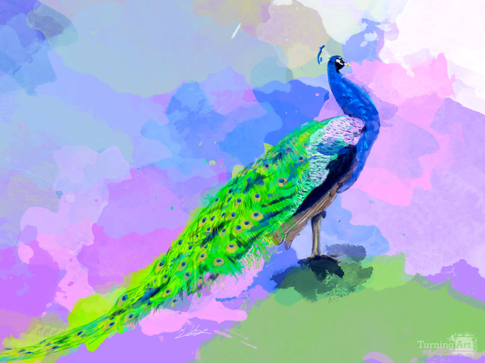Peacock Dream - colorful bird painting