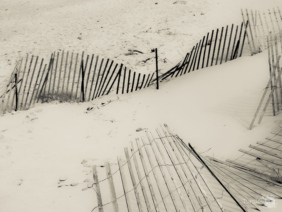 beach fence no. 5