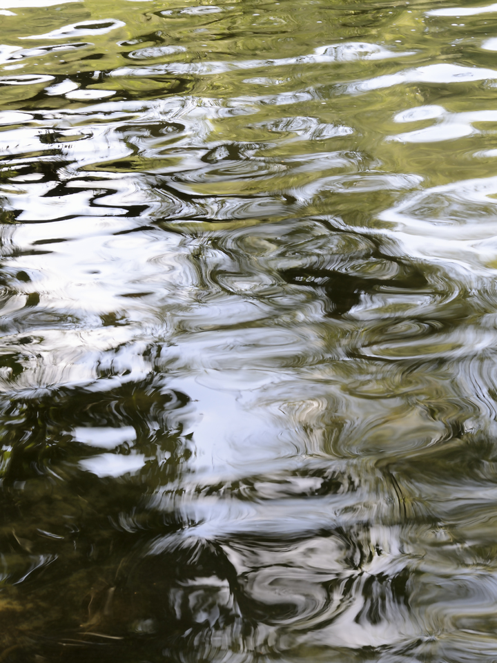 Water 0976