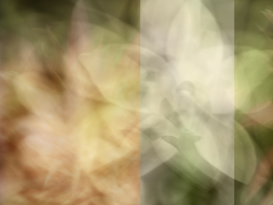 Dreamy Bloom 3001D