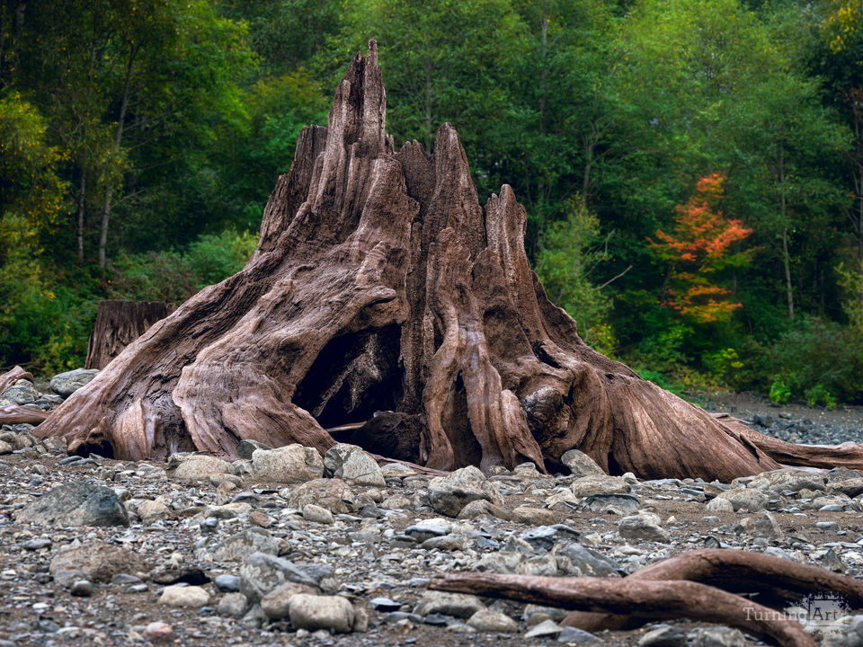 Obra de la Naturaleza