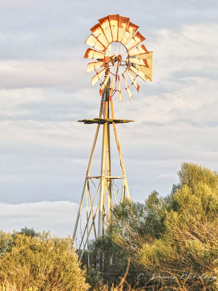 Rustic Windmill
