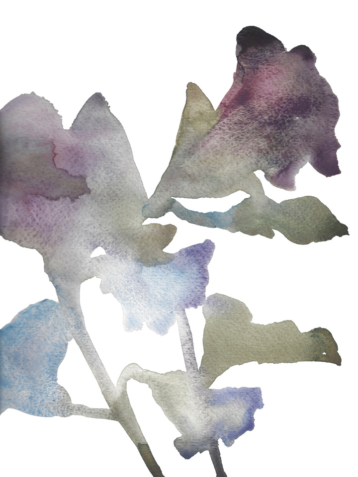Botanical Study No. 15