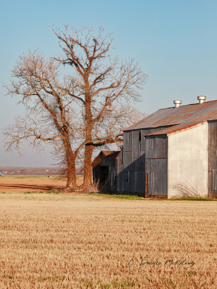 Hay is in the Barn