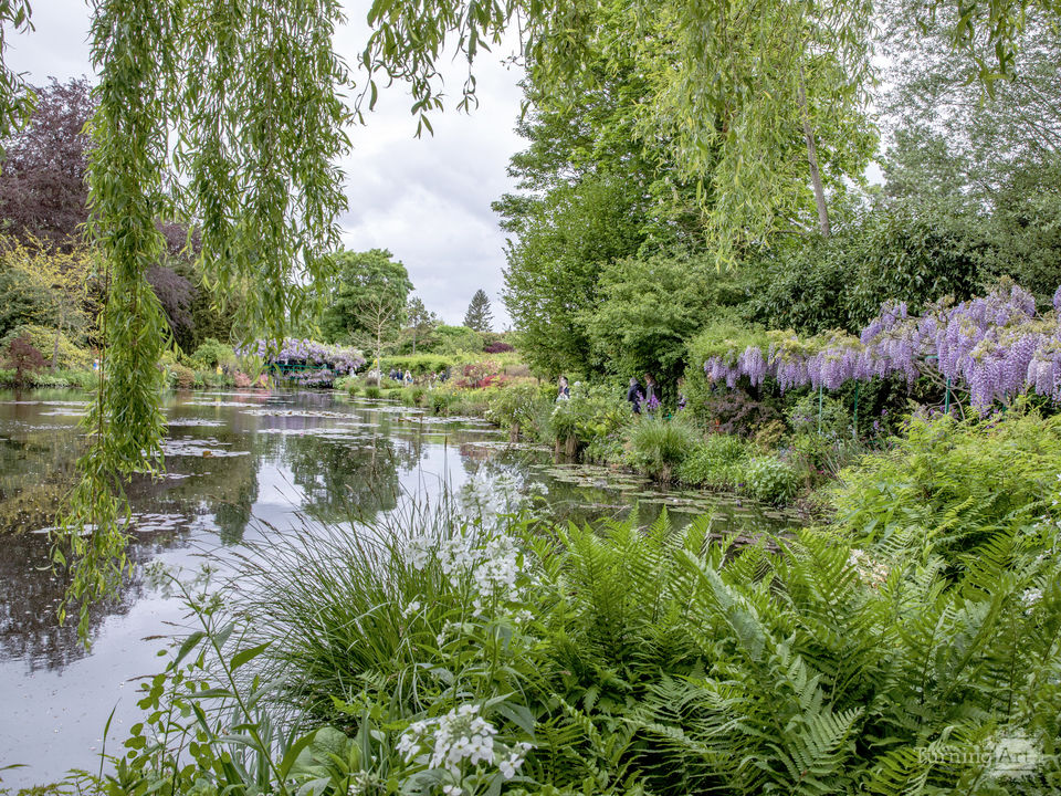 Monet Water Lily Pond Garden Giverny France