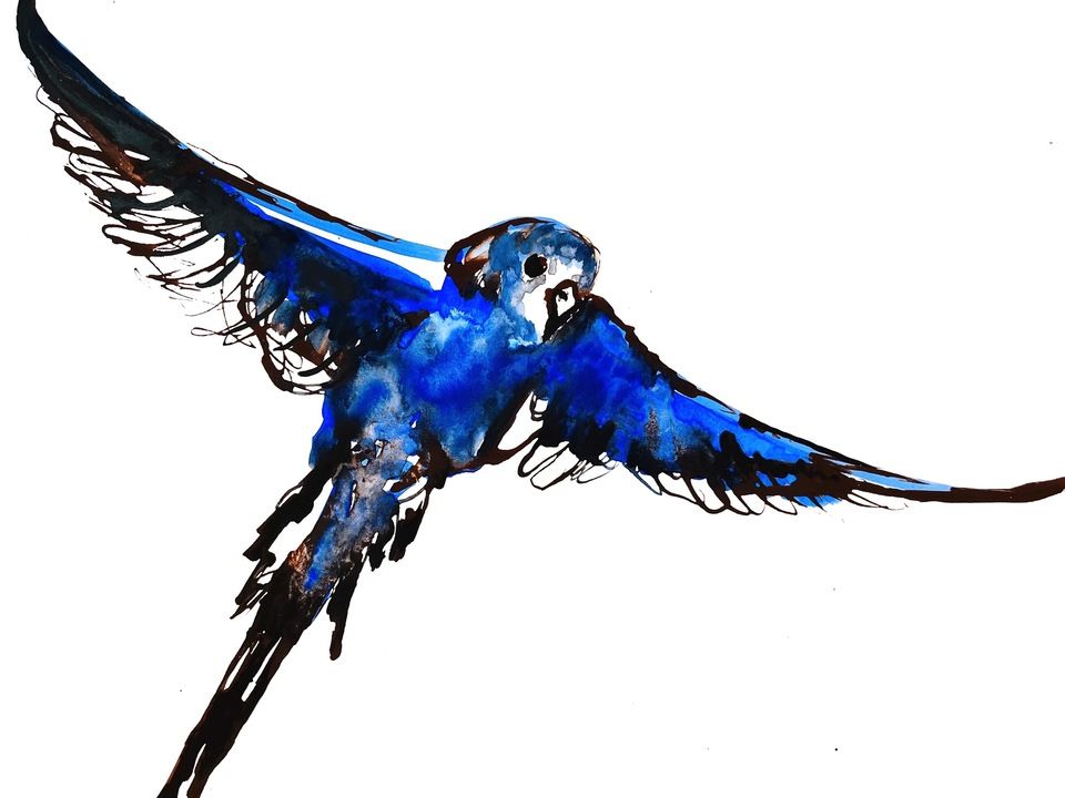 Blue Bird I