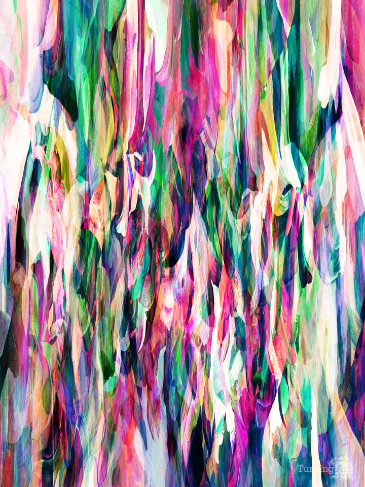 BIRDS OF A FEATHER 2 COLORFUL ABSTRACT FLOW