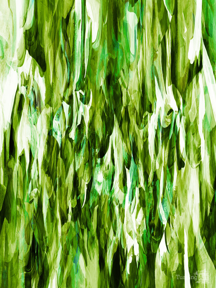 BIRDS OF A FEATHER 6 COLORFUL ABSTRACT FLOW