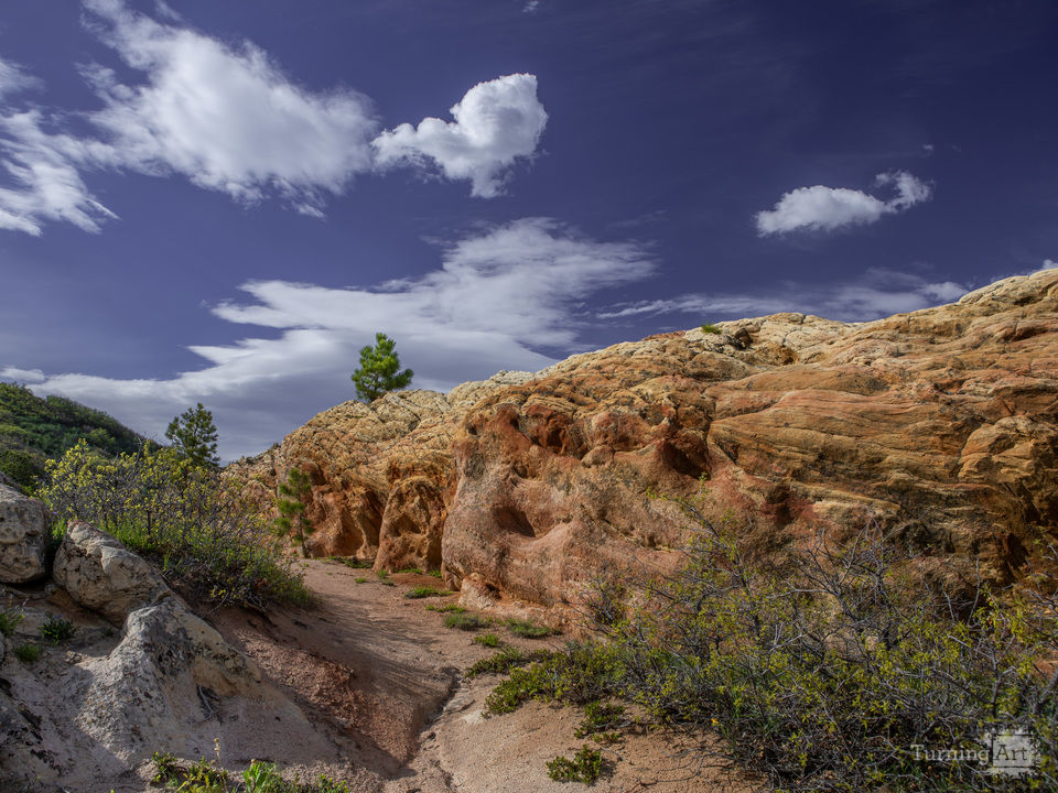 A trail Less Traveled