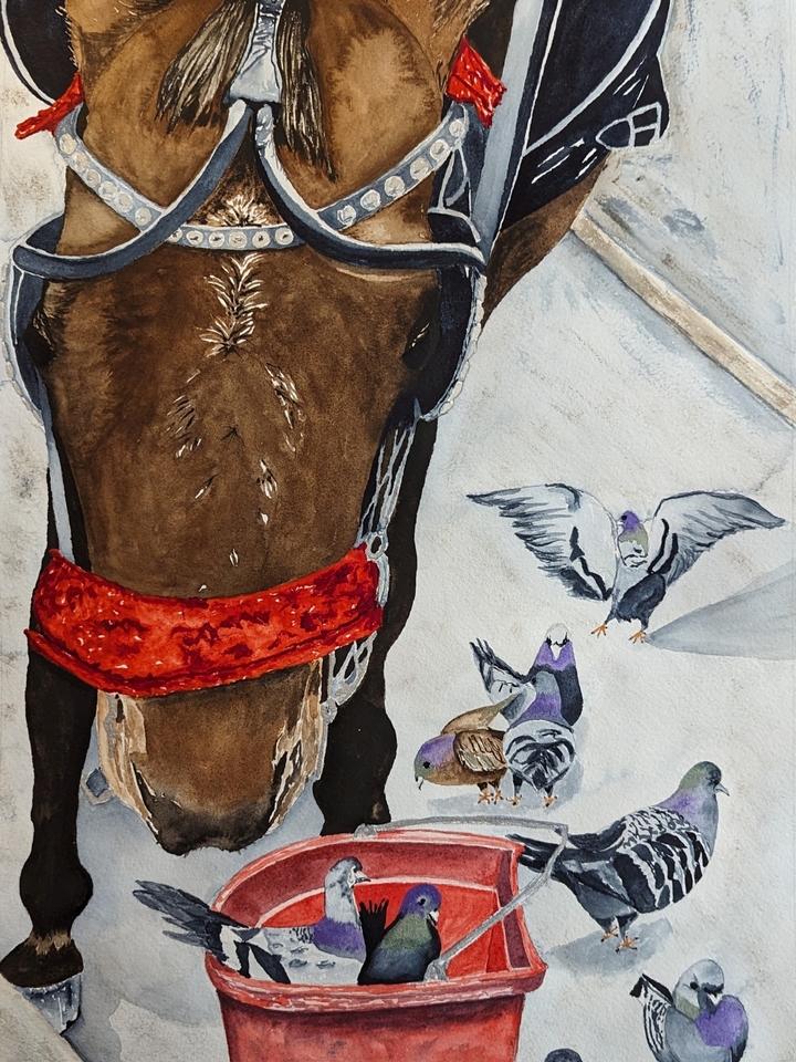 Lunch In Central Park