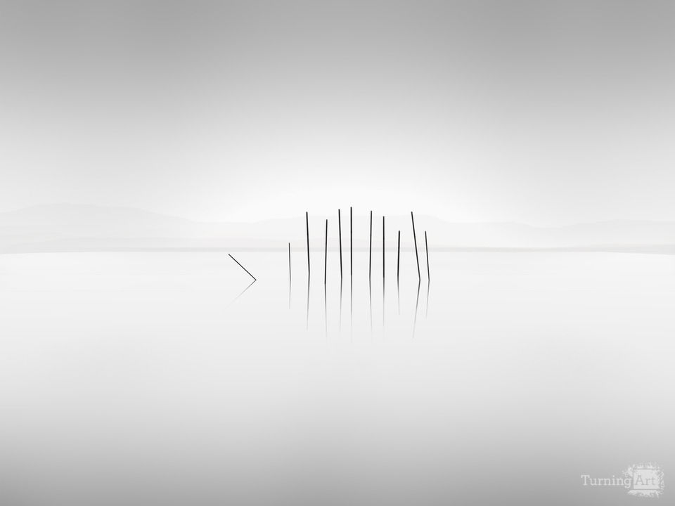 Stake Fish (sunrise)