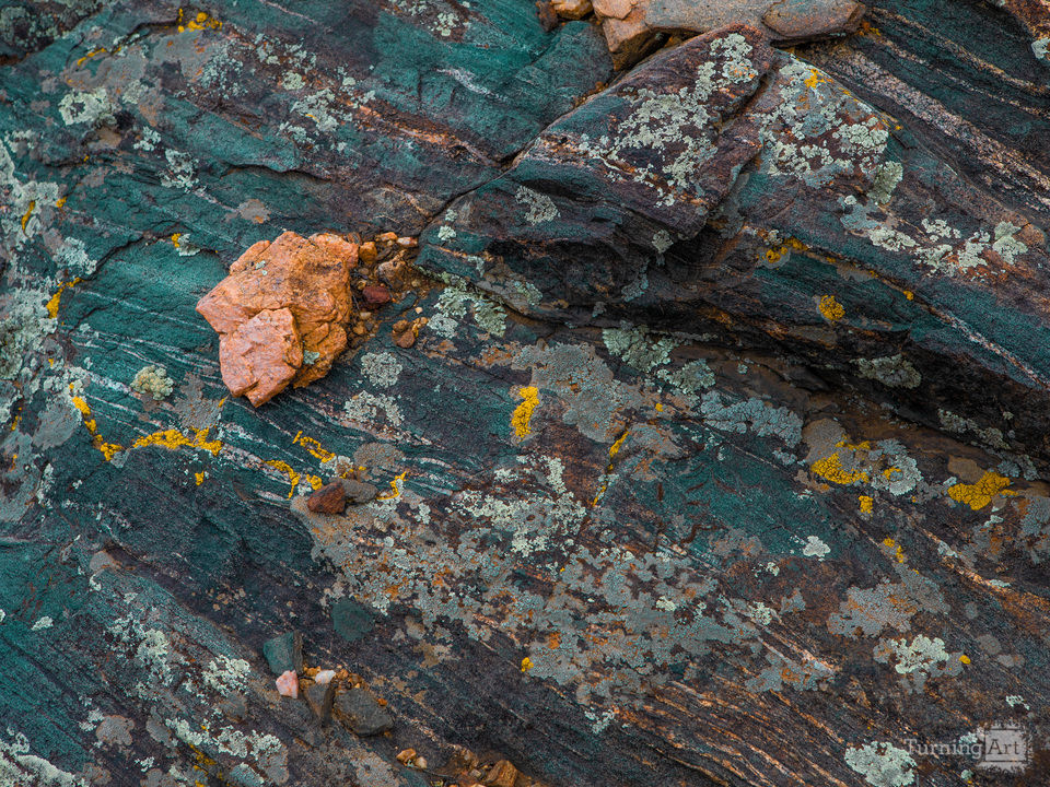 Colorful Rock with Lichen