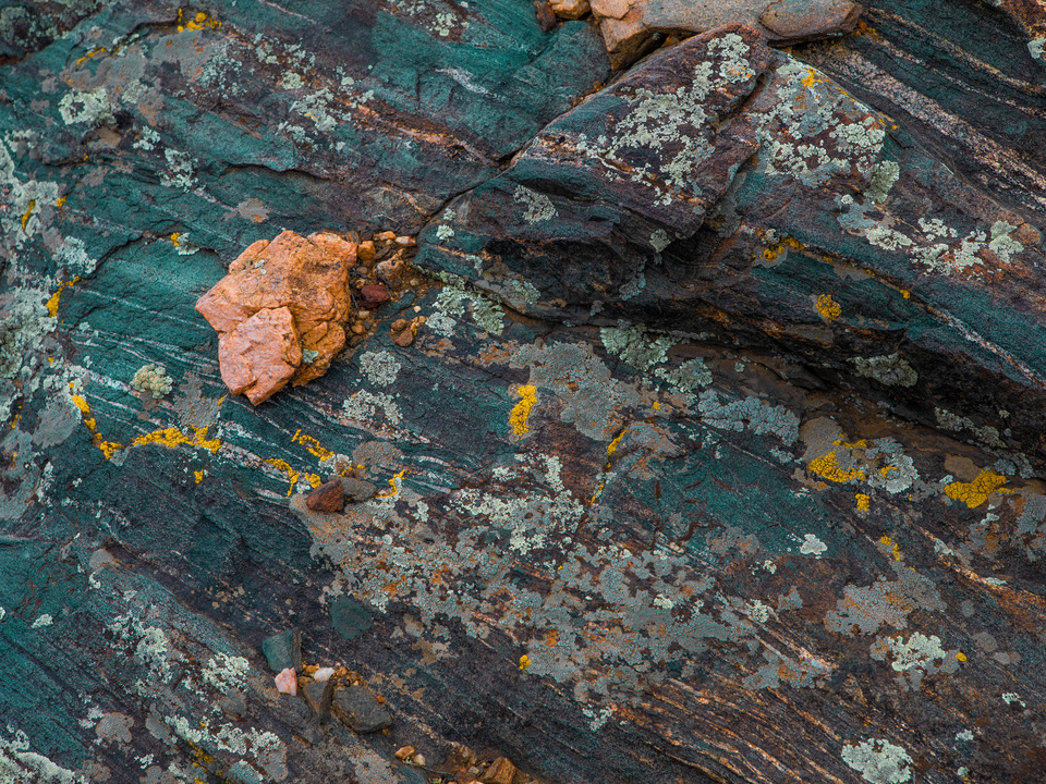 Colorful Rock with Lichen