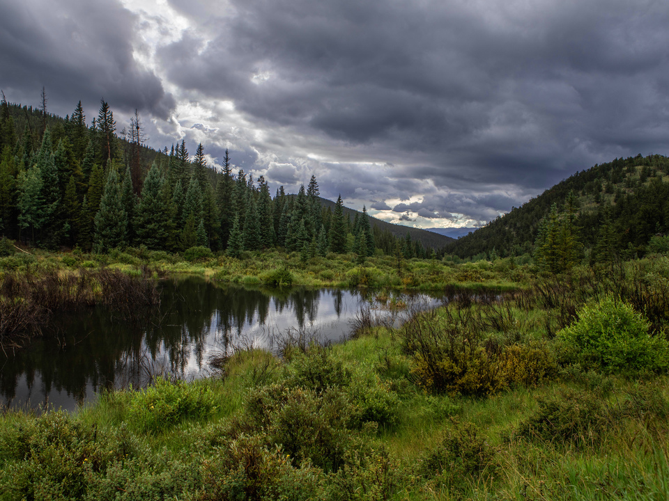 Beaver Pond
