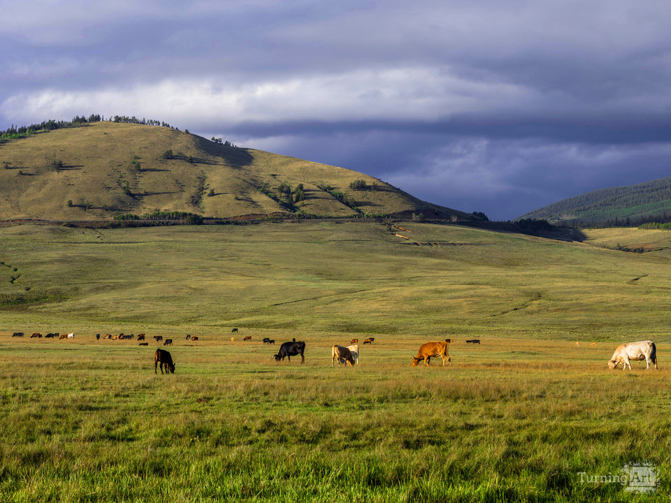 Chillin On the Prairie