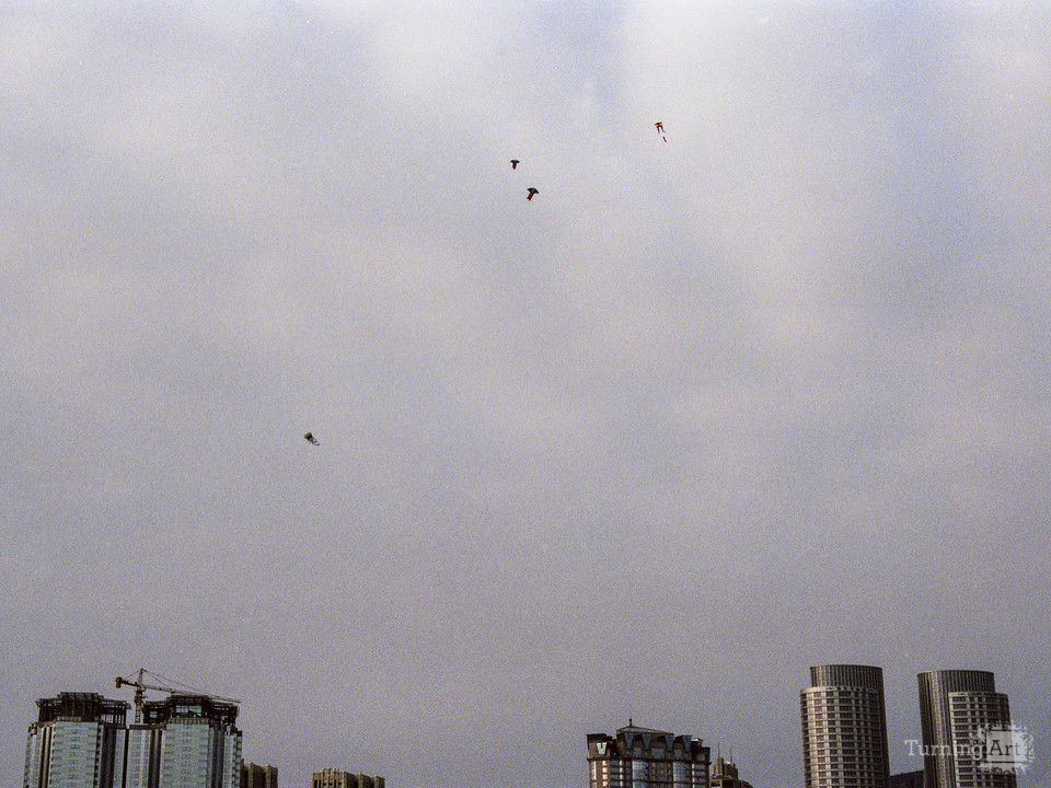 Kites dalian china