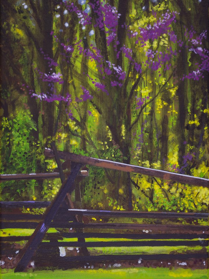 Spring on the Gettysburg Battlefield