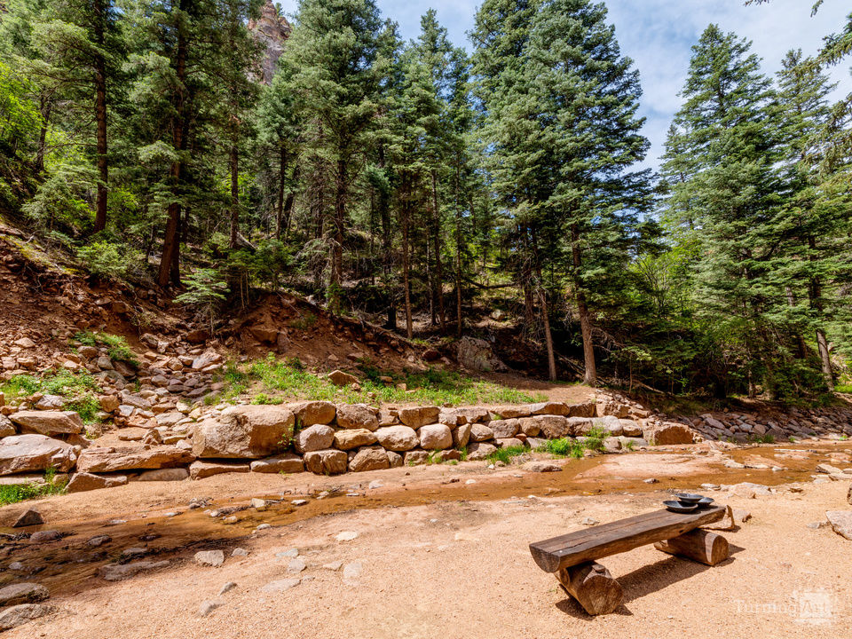 Colorado Forest Creek Bench