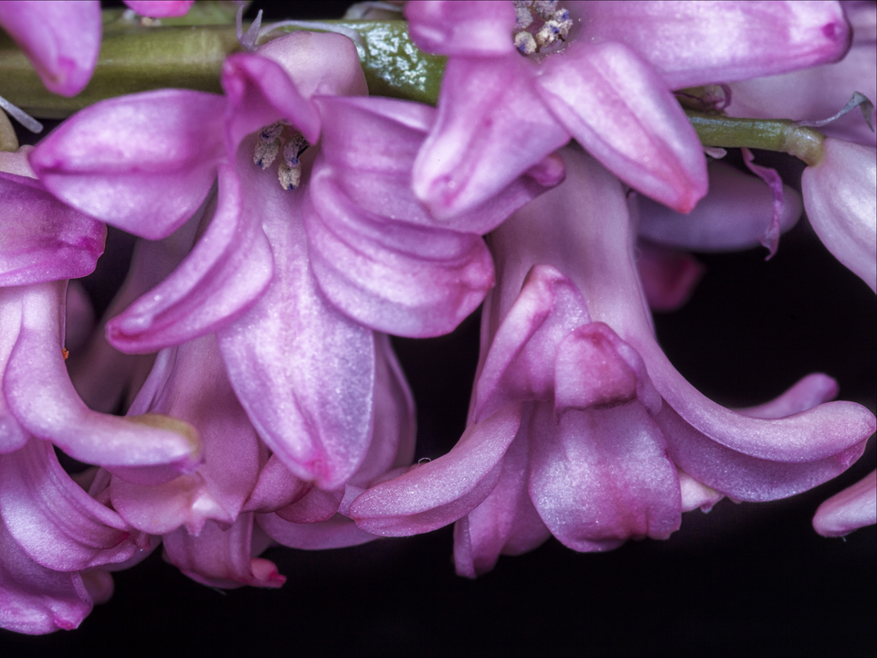 A First Look at Spring 2