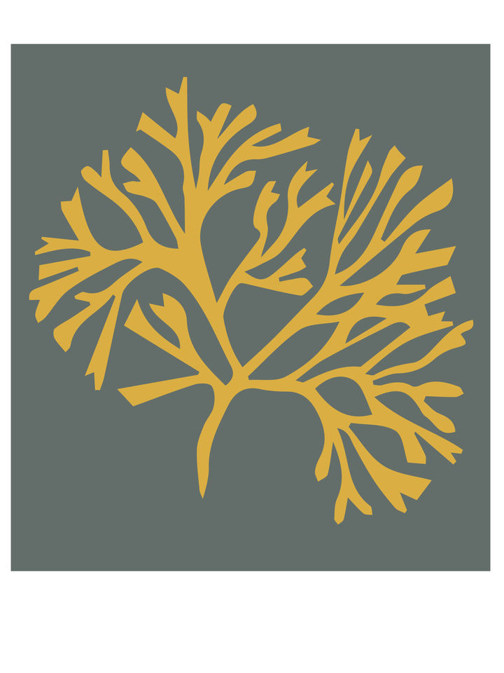 Abstract Nautical Art 125