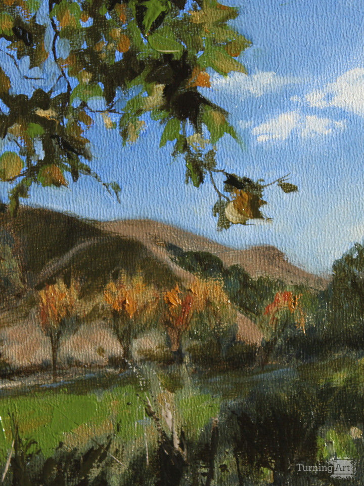 Los olivos