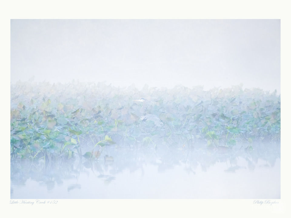 Little Hunting Creek #152