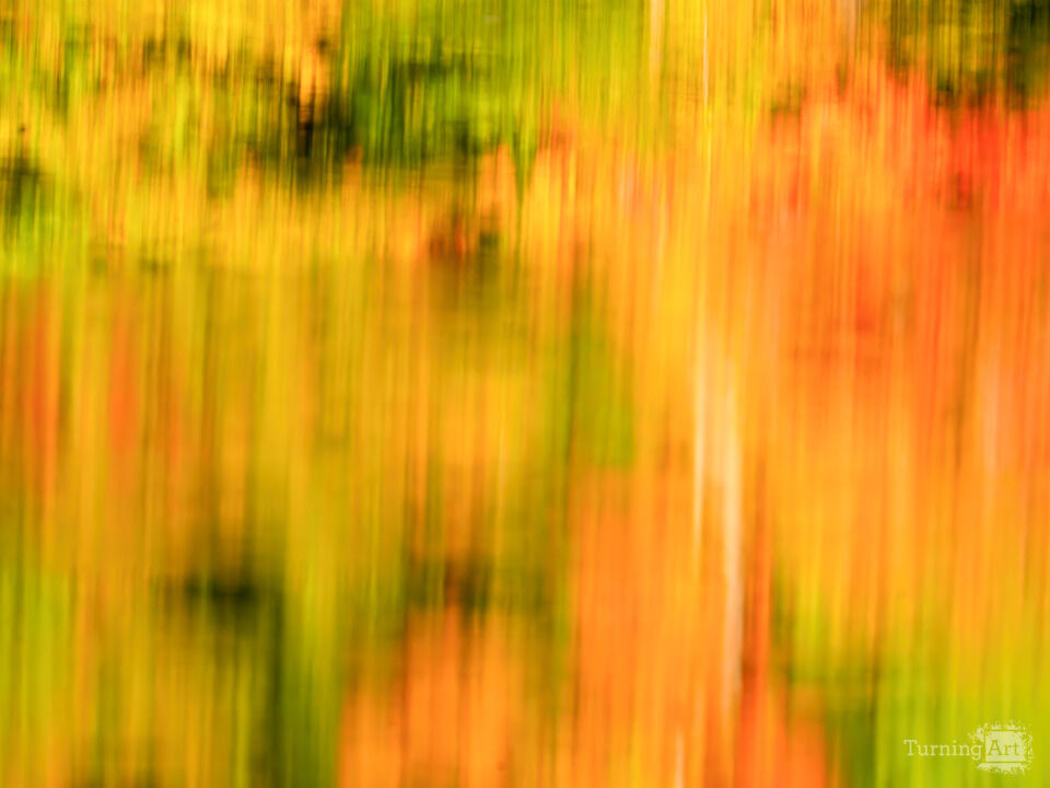 Little Hunting Creek #157