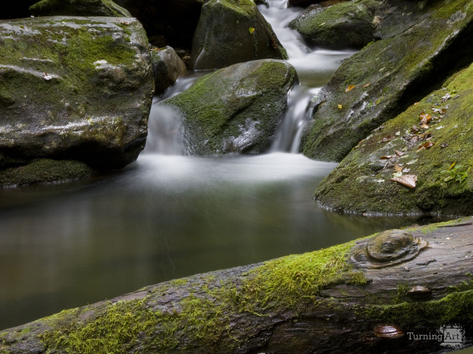 Mineral creek two